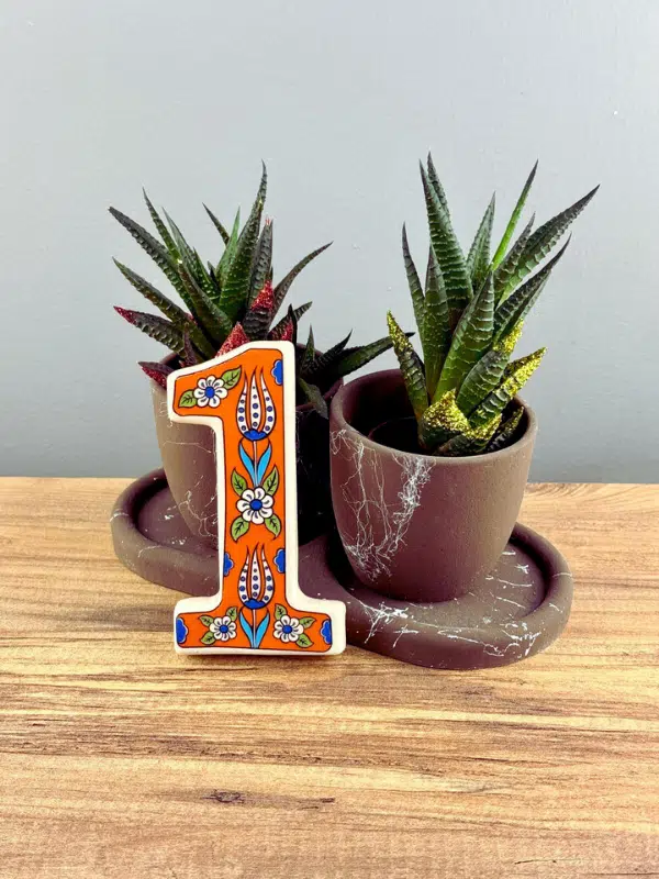 DeepCraft Büyük Boy Lale Desenli Seramik Kapı Numarası, Kişiselleştirilmiş Dekoratif Kapı Numara No.1 - TURUNCU